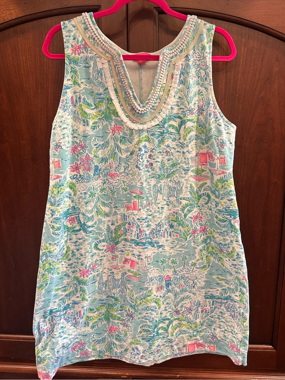 Lilly Pulitzer Harper Shift XL "What a Lovely Place" print